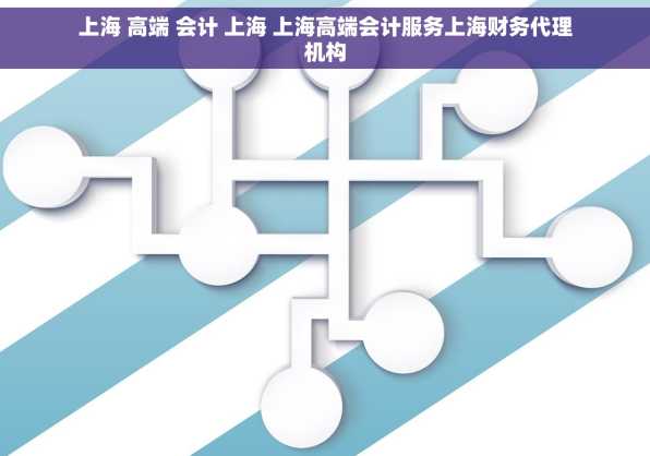 上海 高端 会计 上海 上海高端会计服务上海财务代理机构