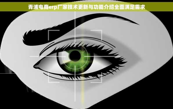 青浦电商erp厂家技术更新与功能介绍全面满足需求