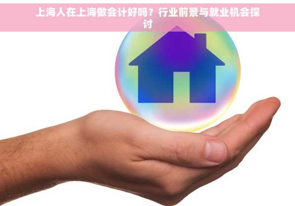 上海人在上海做会计好吗？行业前景与就业机会探讨