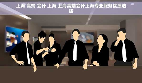 上海 高端 会计 上海 上海高端会计上海专业服务优质选择