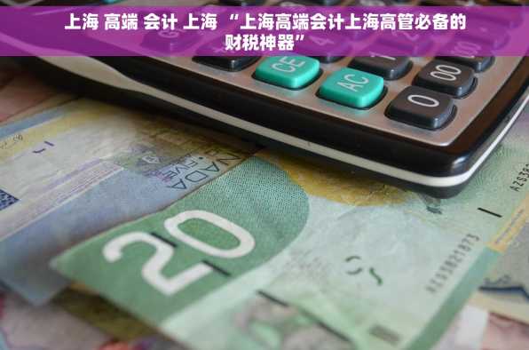 上海 高端 会计 上海 “上海高端会计上海高管必备的财税神器”