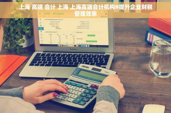 上海 高端 会计 上海 上海高端会计机构#提升企业财税管理效率