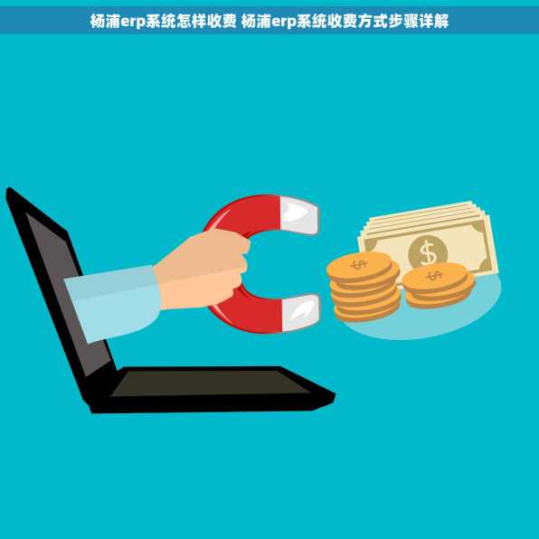 杨浦erp系统怎样收费 杨浦erp系统收费方式步骤详解