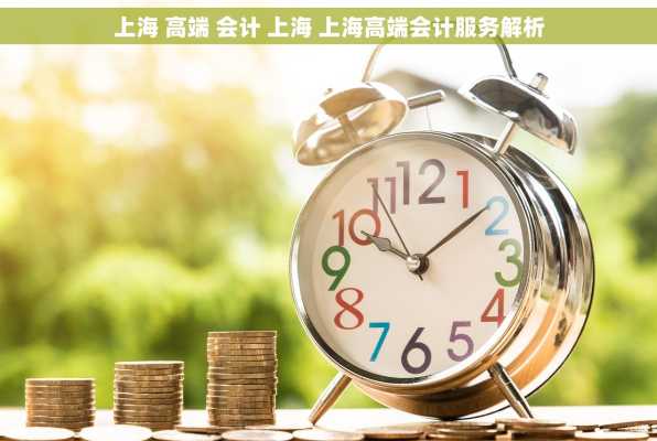 上海 高端 会计 上海 上海高端会计服务解析