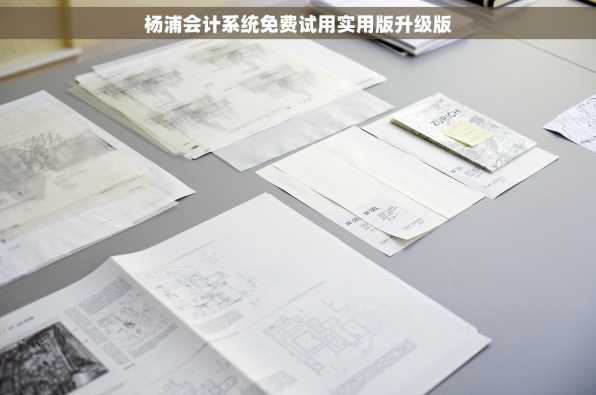 杨浦会计系统免费试用实用版升级版