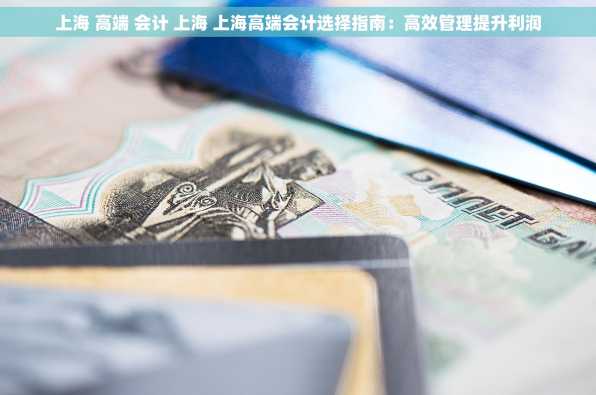 上海 高端 会计 上海 上海高端会计选择指南：高效管理提升利润