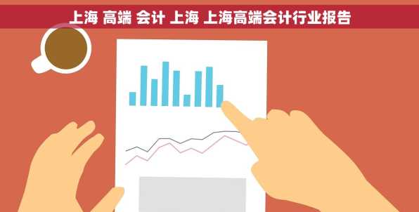 上海 高端 会计 上海 上海高端会计行业报告