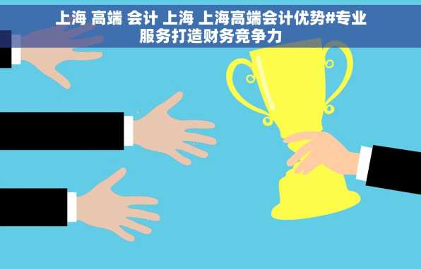 上海 高端 会计 上海 上海高端会计优势#专业服务打造财务竞争力