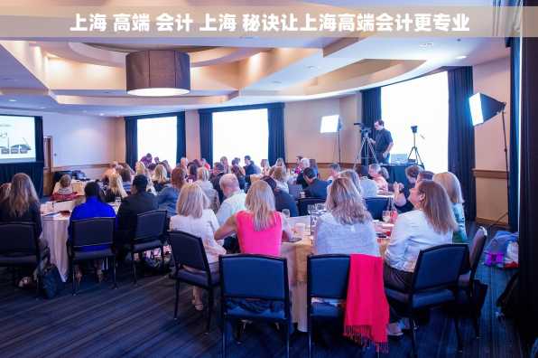 上海 高端 会计 上海 秘诀让上海高端会计更专业