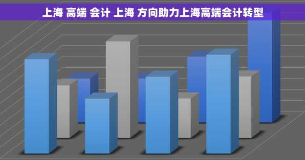 上海 高端 会计 上海 方向助力上海高端会计转型