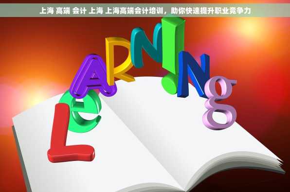 上海 高端 会计 上海 上海高端会计培训，助你快速提升职业竞争力