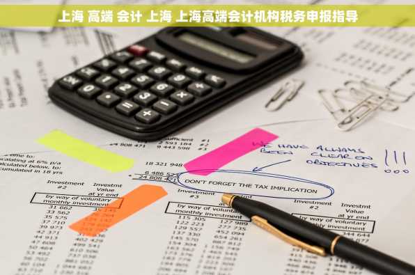 上海 高端 会计 上海 上海高端会计机构税务申报指导