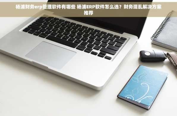 杨浦财务erp管理软件有哪些 杨浦ERP软件怎么选？财务混乱解决方案推荐