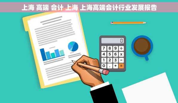 上海 高端 会计 上海 上海高端会计行业发展报告
