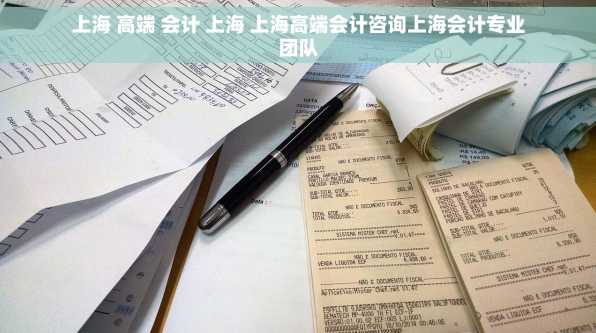 上海 高端 会计 上海 上海高端会计咨询上海会计专业团队
