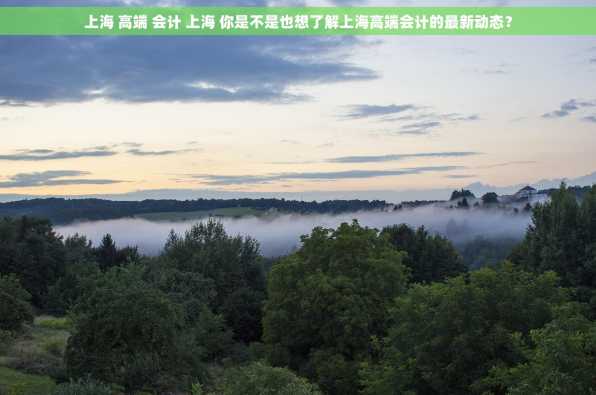 上海 高端 会计 上海 你是不是也想了解上海高端会计的最新动态？