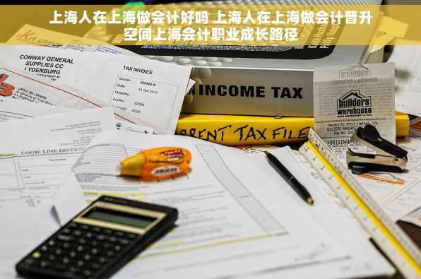 上海人在上海做会计好吗 上海人在上海做会计晋升空间上海会计职业成长路径