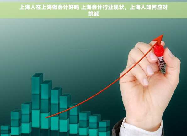 上海人在上海做会计好吗 上海会计行业现状，上海人如何应对挑战