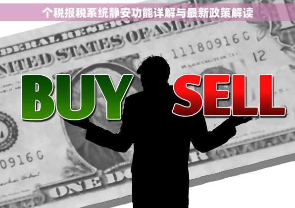 个税报税系统静安功能详解与最新政策解读