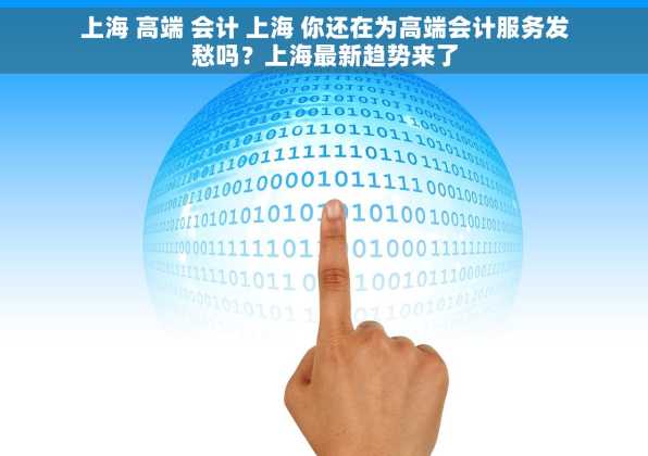 上海 高端 会计 上海 你还在为高端会计服务发愁吗？上海最新趋势来了