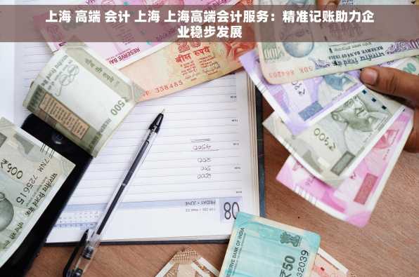 上海 高端 会计 上海 上海高端会计服务：精准记账助力企业稳步发展