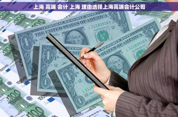 上海 高端 会计 上海 理由选择上海高端会计公司
