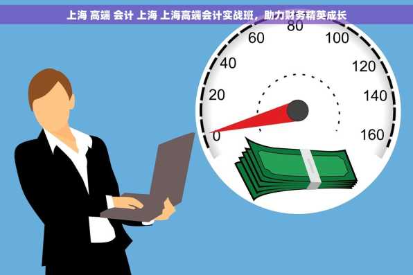 上海 高端 会计 上海 上海高端会计实战班，助力财务精英成长