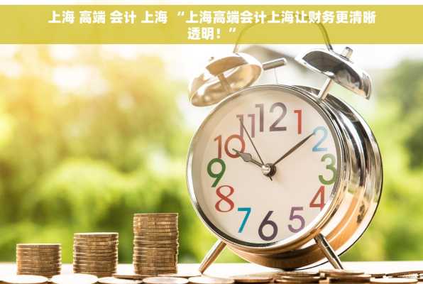 上海 高端 会计 上海 “上海高端会计上海让财务更清晰透明！”