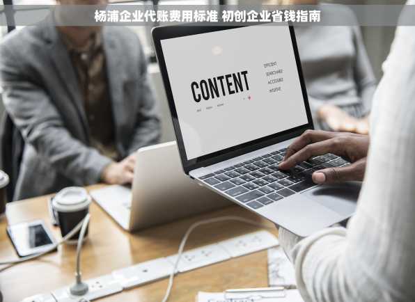 杨浦企业代账费用标准 初创企业省钱指南