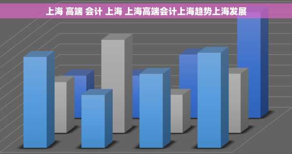 上海 高端 会计 上海 上海高端会计上海趋势上海发展