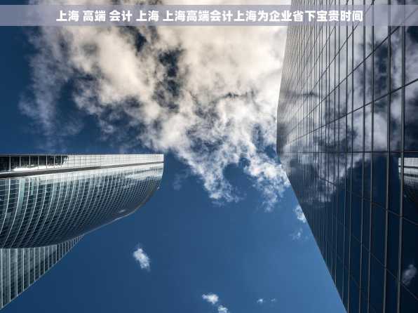 上海 高端 会计 上海 上海高端会计上海为企业省下宝贵时间