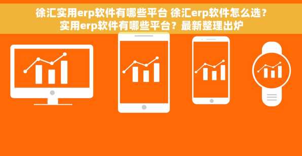 徐汇实用erp软件有哪些平台 徐汇erp软件怎么选？实用erp软件有哪些平台？最新整理出炉
