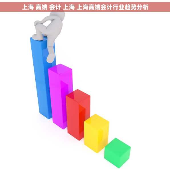 上海 高端 会计 上海 上海高端会计行业趋势分析