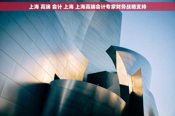 上海 高端 会计 上海 上海高端会计专家财务战略支持