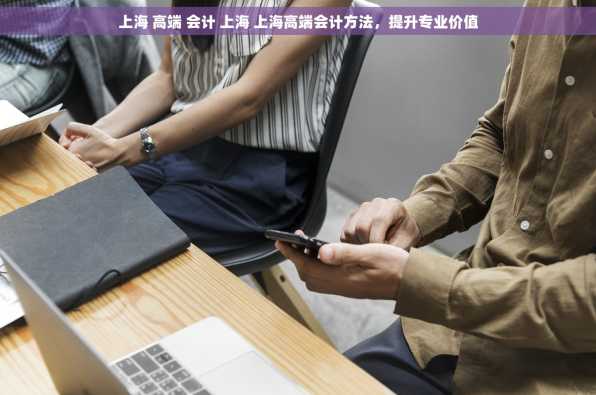 上海 高端 会计 上海 上海高端会计方法，提升专业价值