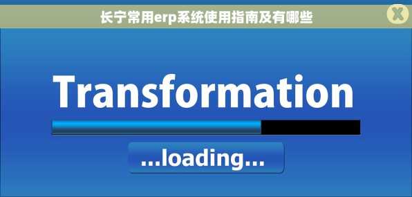 长宁常用erp系统使用指南及有哪些