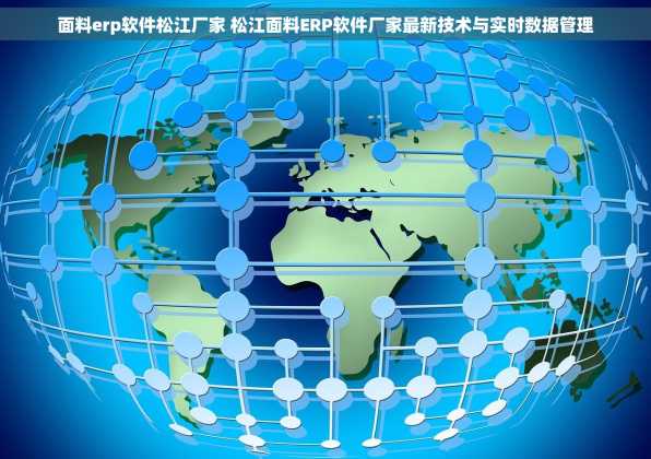 面料erp软件松江厂家 松江面料ERP软件厂家最新技术与实时数据管理