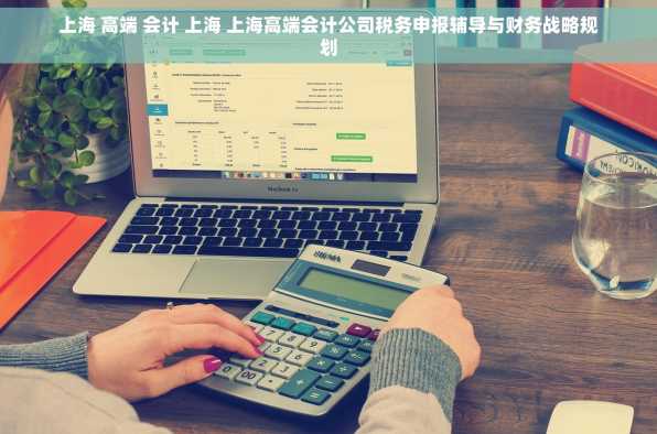 上海 高端 会计 上海 上海高端会计公司税务申报辅导与财务战略规划