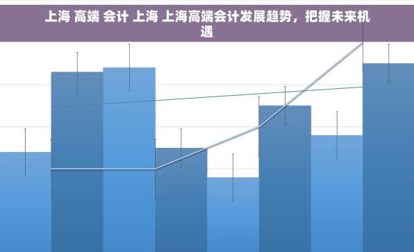 上海 高端 会计 上海 上海高端会计发展趋势，把握未来机遇