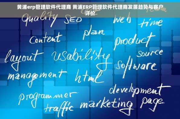 黄浦erp管理软件代理商 黄浦ERP管理软件代理商发展趋势与客户评价
