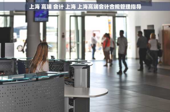 上海 高端 会计 上海 上海高端会计合规管理指导