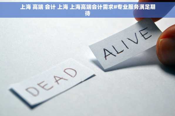 上海 高端 会计 上海 上海高端会计需求#专业服务满足期待