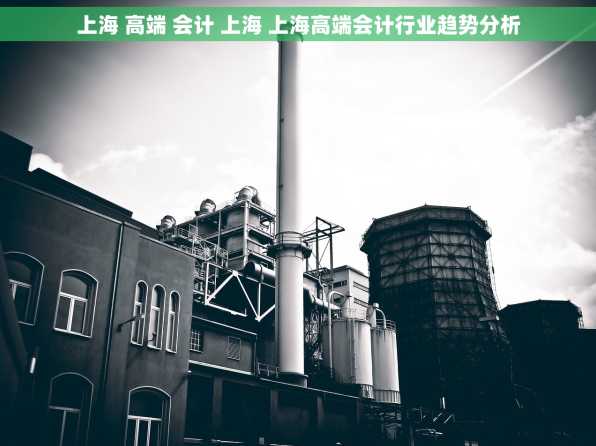 上海 高端 会计 上海 上海高端会计行业趋势分析