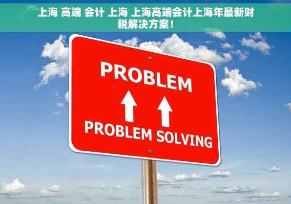 上海 高端 会计 上海 上海高端会计上海年最新财税解决方案！