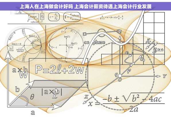 上海人在上海做会计好吗 上海会计薪资待遇上海会计行业发展