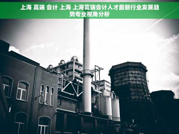 上海 高端 会计 上海 上海高端会计人才最新行业发展趋势专业视角分析