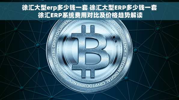 徐汇大型erp多少钱一套 徐汇大型ERP多少钱一套 徐汇ERP系统费用对比及价格趋势解读