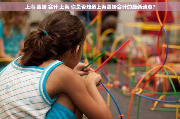 上海 高端 会计 上海 你是否知道上海高端会计的最新动态？