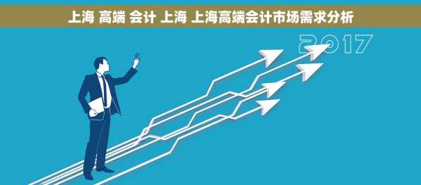 上海 高端 会计 上海 上海高端会计市场需求分析