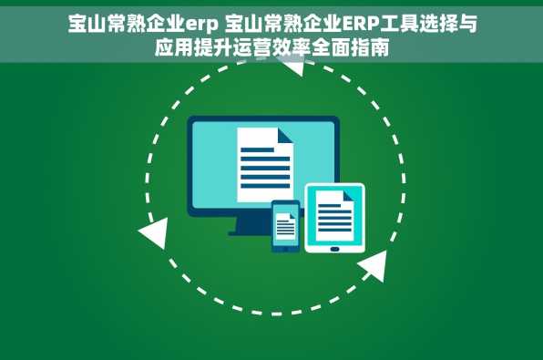 宝山常熟企业erp 宝山常熟企业ERP工具选择与应用提升运营效率全面指南